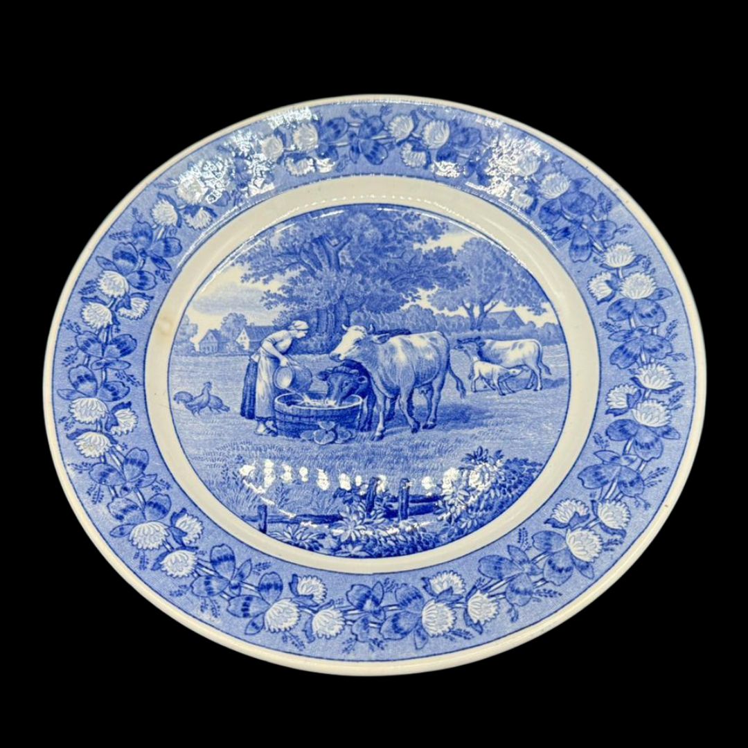Villeroy & Boch Dresden 6326: Kuchenteller / Frühstücksteller 19,5 cm