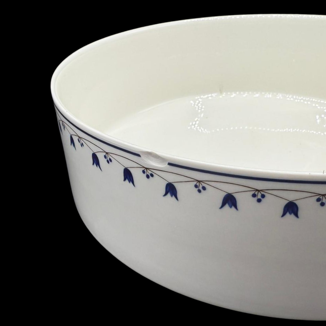 Villeroy & Boch Salzburg: Sevierschüssel / Schüssel - 24,5 cm (15179907268932)
