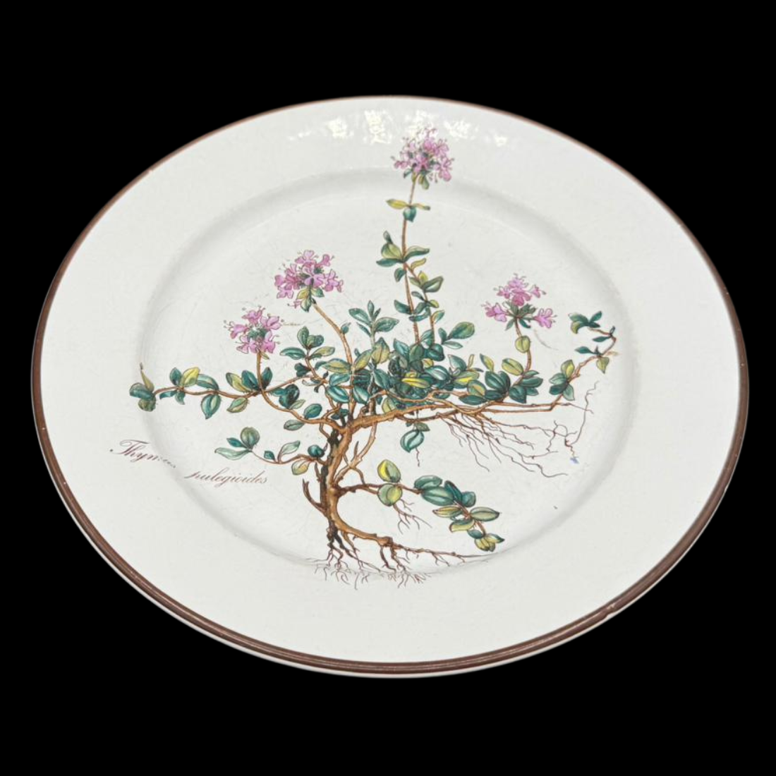 Villeroy & Boch Botanica: Kuchenteller / Frühstücksteller - mit Wurzel, breitem Rand (7120764502153)