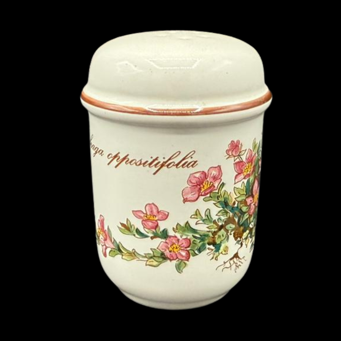 Villeroy & Boch Botanica: Salzstreuer / Streuer für Salz - ohne Stöpsel (7120899833993)