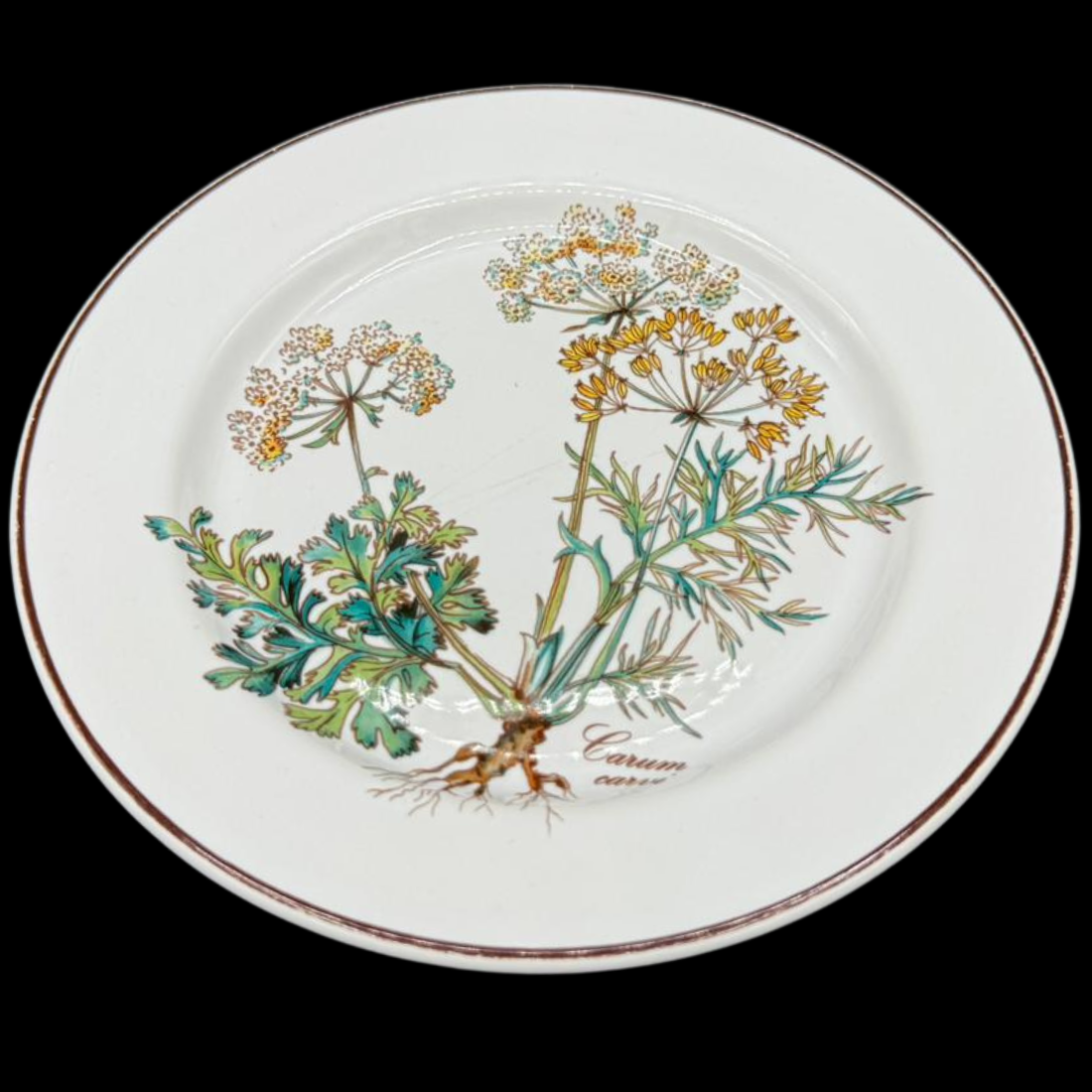 Villeroy & Boch Botanica: Brotteller / kleiner Teller mit Wurzel (7121062166665)