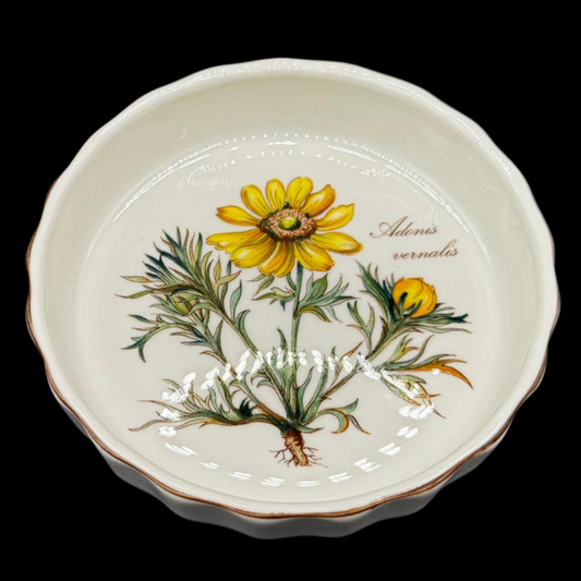 Villeroy & Boch Botanica: Förmchen / Quicheform Adonis vernalis / Auflaufform 12 cm (7120851271817)