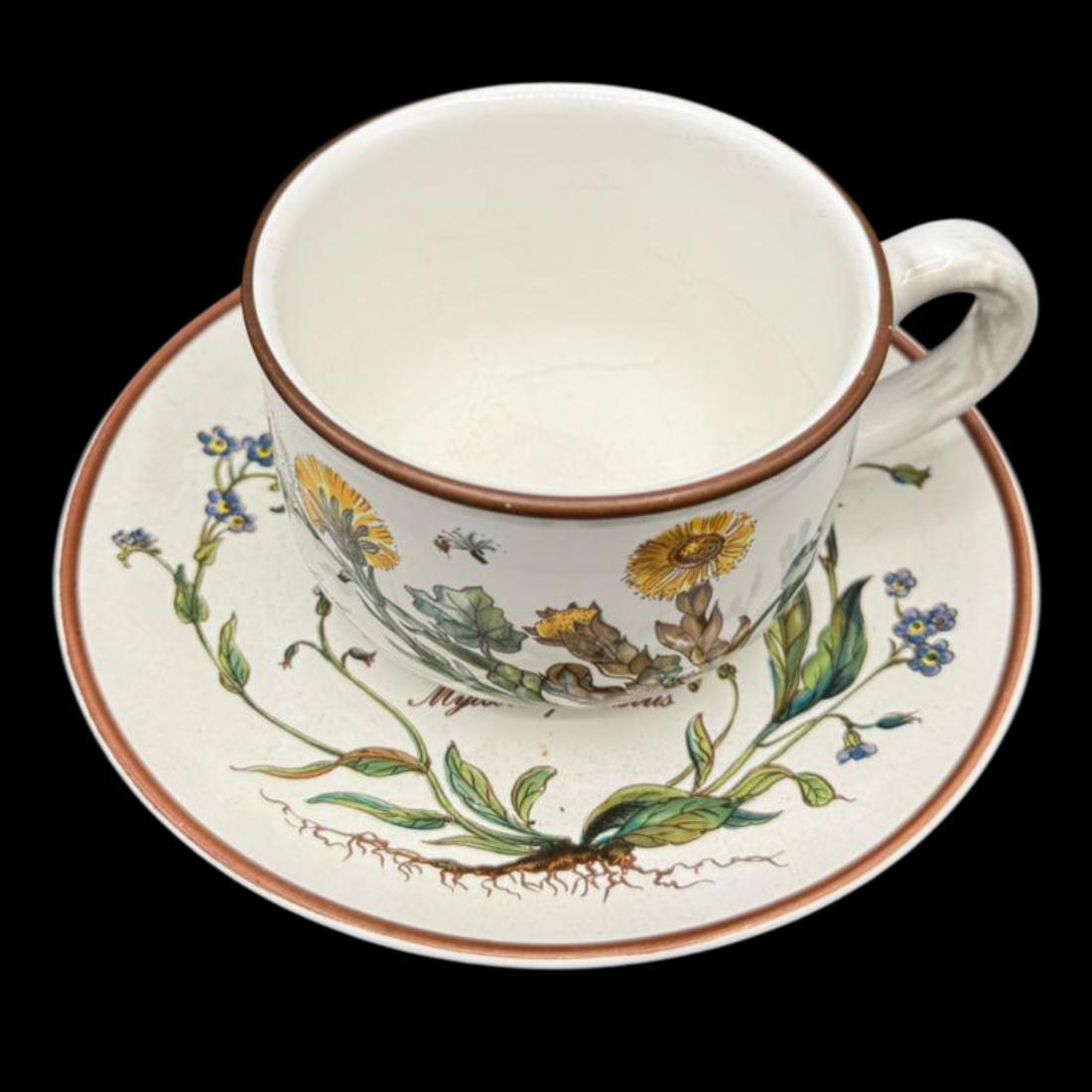 Villeroy & Boch Botanica: Teetasse / Tasse mit Unterteller (7120978083977) (7120978051209)