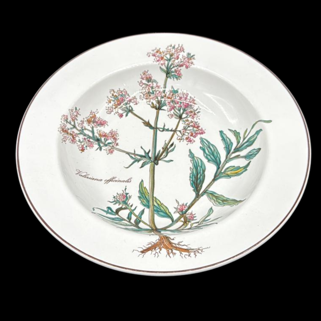 Villeroy & Boch Botanica: Suppenteller / tiefer Teller mit Wurzel - neuwertig (7120839409801)