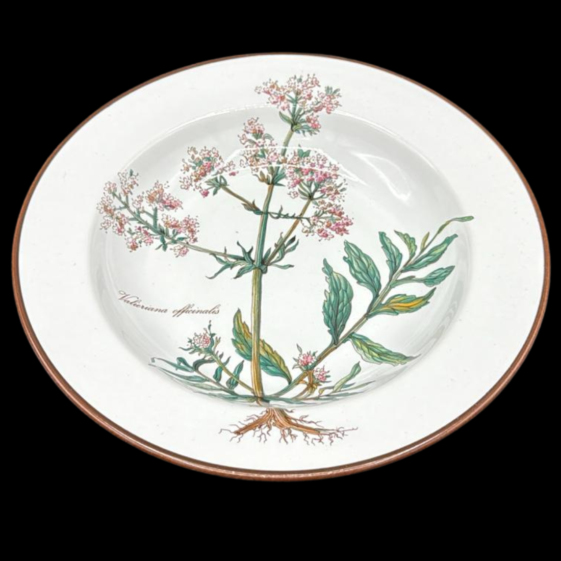 Villeroy & Boch Botanica: Suppenteller / tiefer Teller mit Wurzel - breiter Rand (7120839278729)