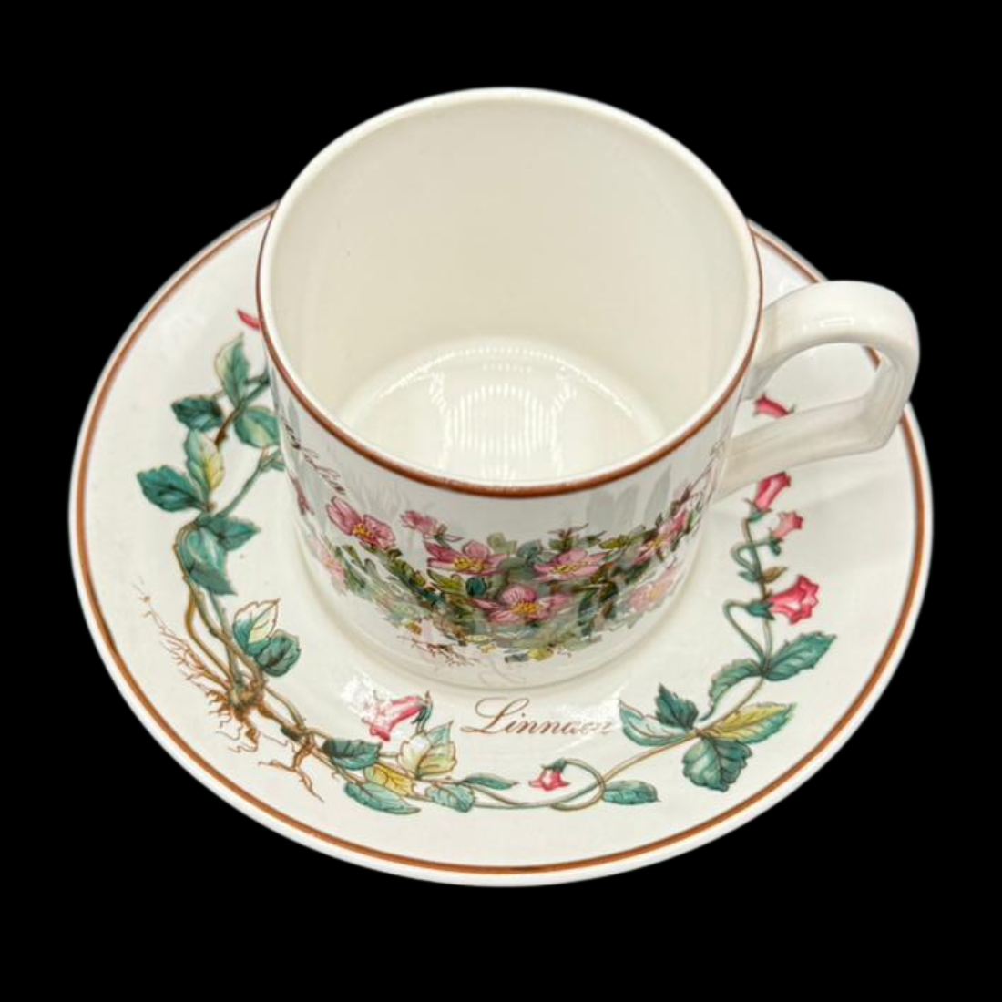 Villeroy & Boch Botanica: Kaffeetasse / Tasse mit Unterteller (seltenes Motiv) (9486615118148)