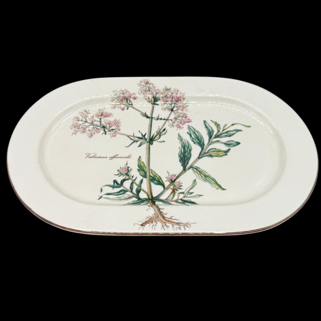 Villeroy & Boch Botanica: Fleischplatte / Platte - 28 cm / Bilde verkehrt (15277242712388)