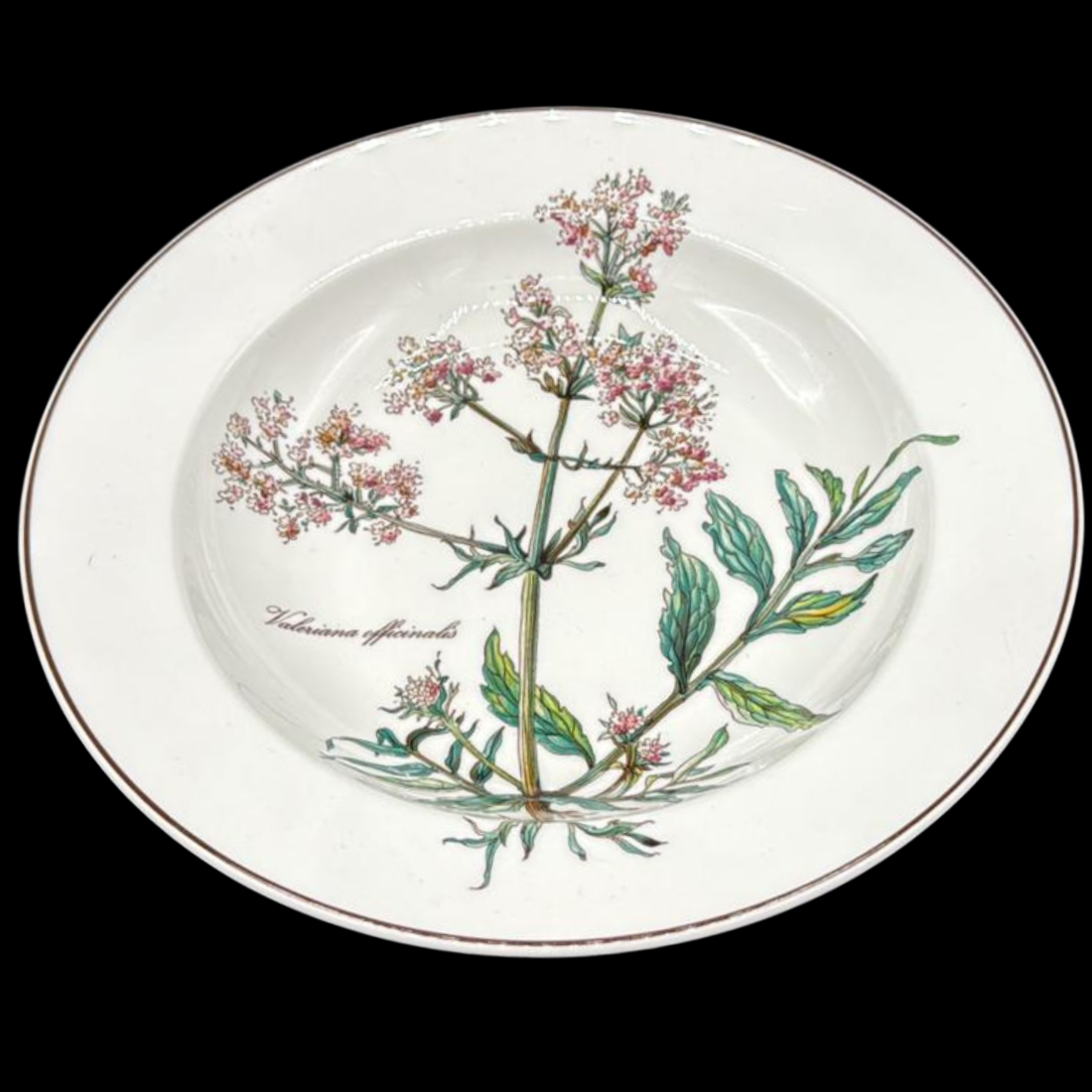Villeroy & Boch Botanica: Suppenteller / tiefer Teller ohne Wurzel (7120751853705)