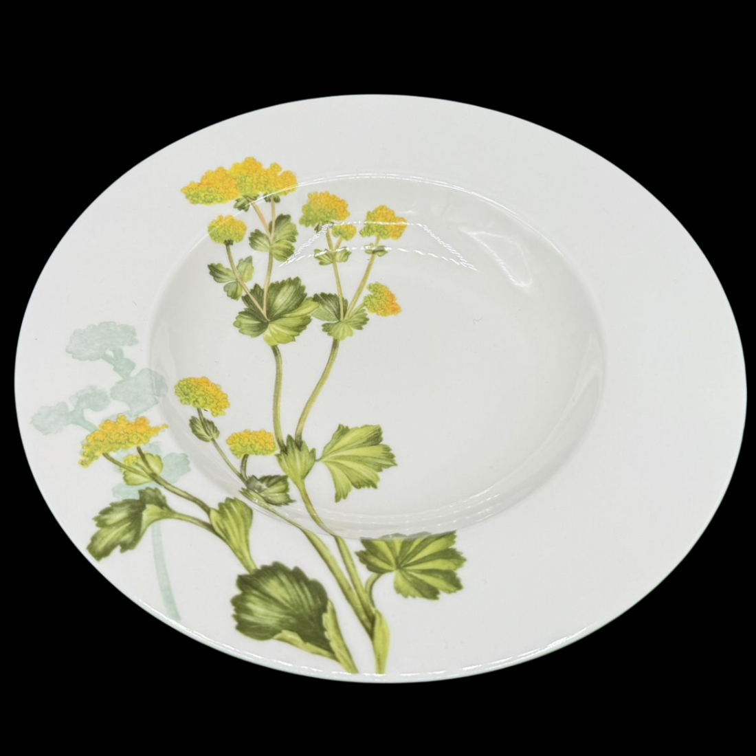 Villeroy & Boch Althea Nova: Suppenteller / tiefer Teller (7121106206857)