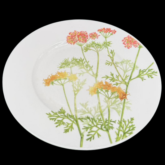 Villeroy & Boch Althea Nova: Kuchenteller / Frühstücksteller - gebr. (15290359447876)