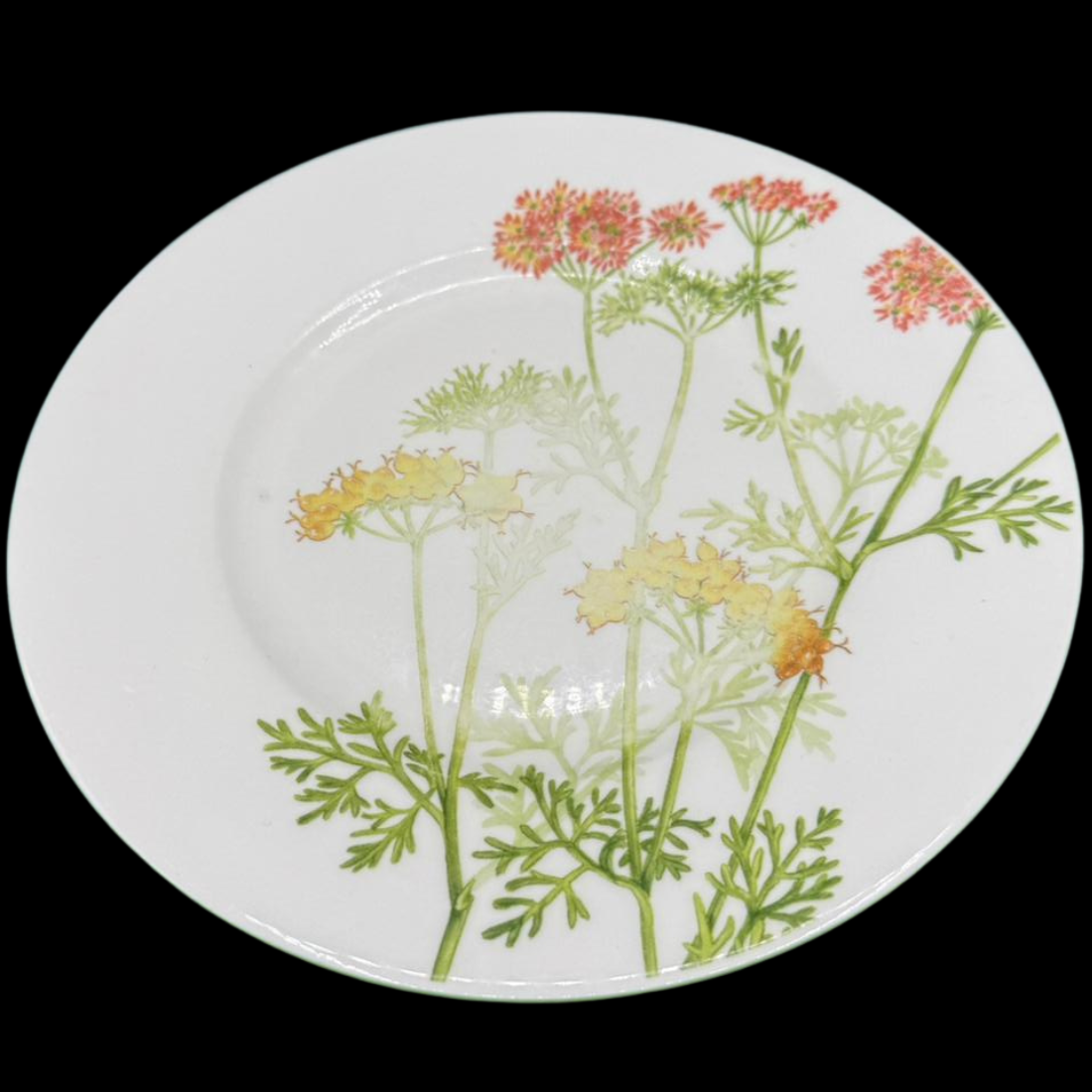 Villeroy & Boch Althea Nova: Kuchenteller / Frühstücksteller - gebr. (15290359447876)