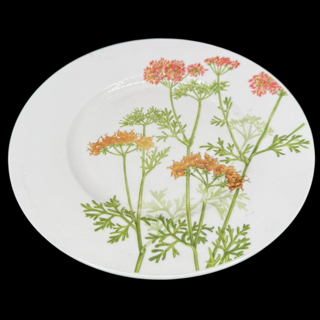 Villeroy & Boch Althea Nova: Kuchenteller / Frühstücksteller - gebr. (15290359447876)