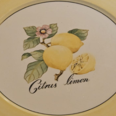 Villeroy & Boch French Garden: Platzteller / Pizzateller / großer Teller Fleurence - neu (14877987144004)