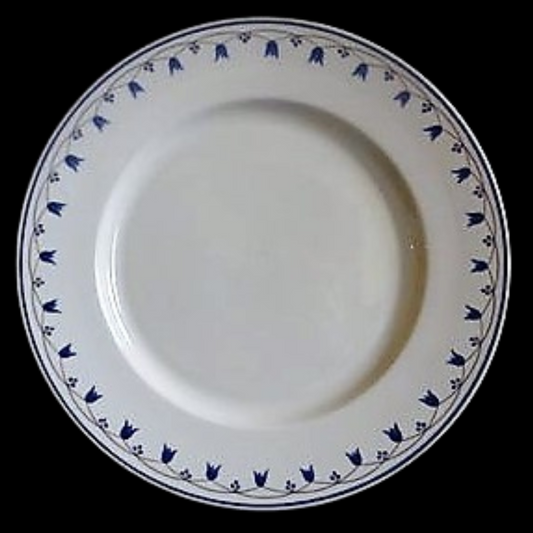 Villeroy & Boch Salzburg: Speiseteller / flacher Teller - ca 27 cm (14893550764356)