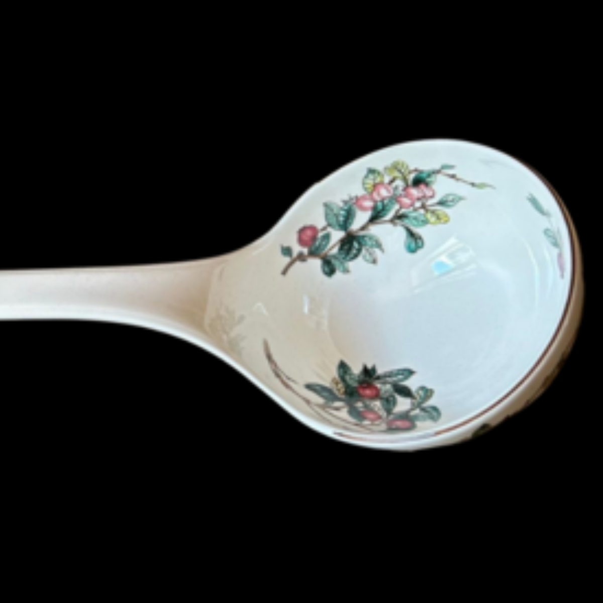 Villeroy & Boch Botanica: Suppenkelle / Suppenschöpfer in Originalverpackung (Besteck) (9442497134916)