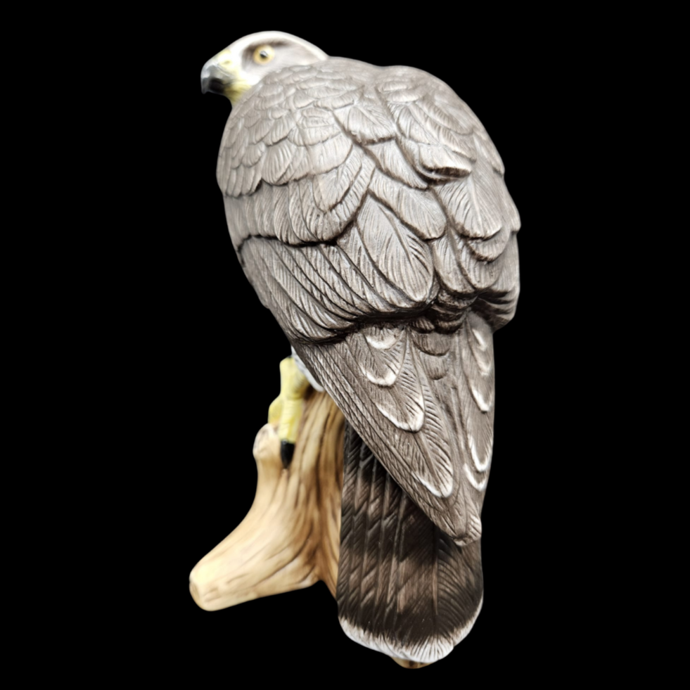 Goebel: Habicht Vogel des Jahres 2015 (8841752314180)