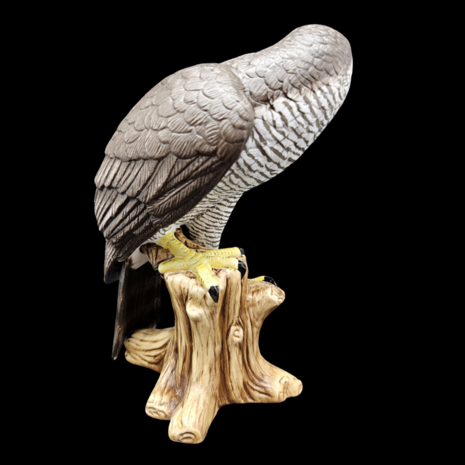Goebel: Habicht Vogel des Jahres 2015 (8841752314180)