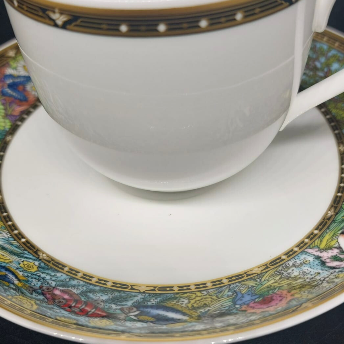 Villeroy & Boch Vie Sauvage: Kaffeetasse / Tasse mit Unterteller (8772908253508)