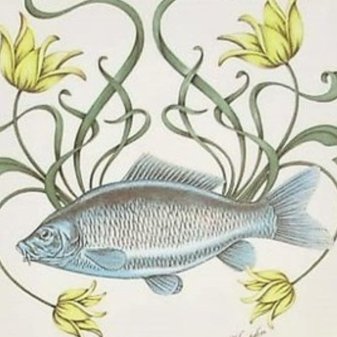 Villeroy & Boch Brownidge / Atlantic: Speiseteller / flacher Teller 27 cm Karpfen (7120804282505)