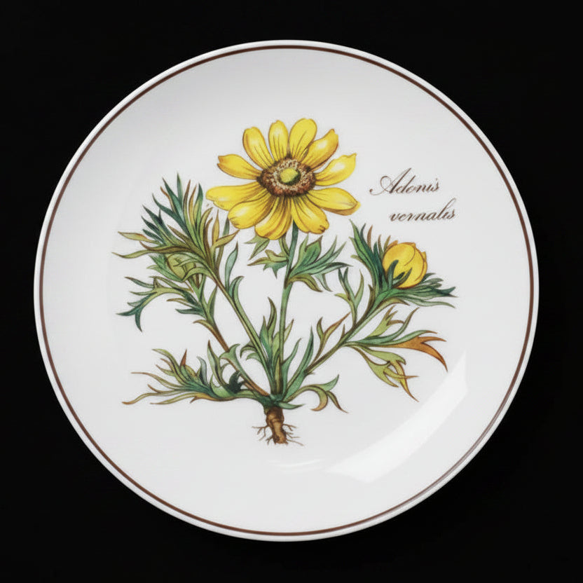 Villeroy & Boch Botanica: Untersetzer rund - Adonis - ca 12 cm Villeroy & Boch (7120854024329)