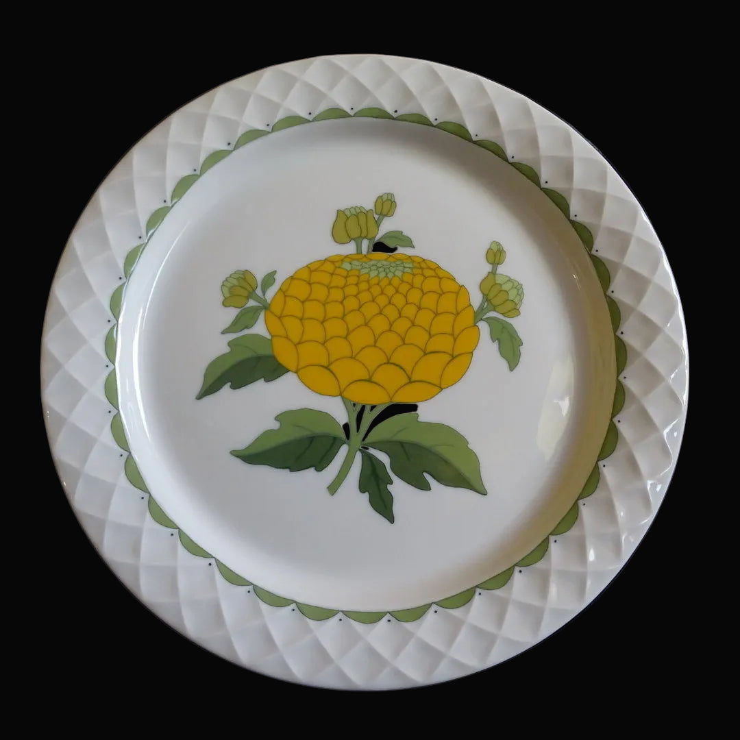 Thomas Porzellan: Speiseteller / flacher Teller Thomas Porzellan (7120721772681)