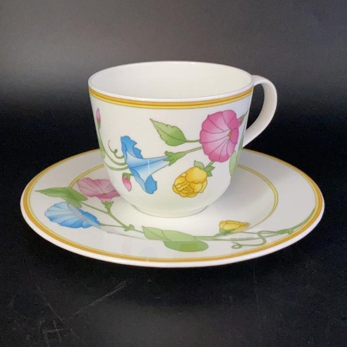 Hutschenreuther Leonard Verano Paris: Kaffeetasse / Tasse mit Unterteller Hutschenreuther (7121106305161)