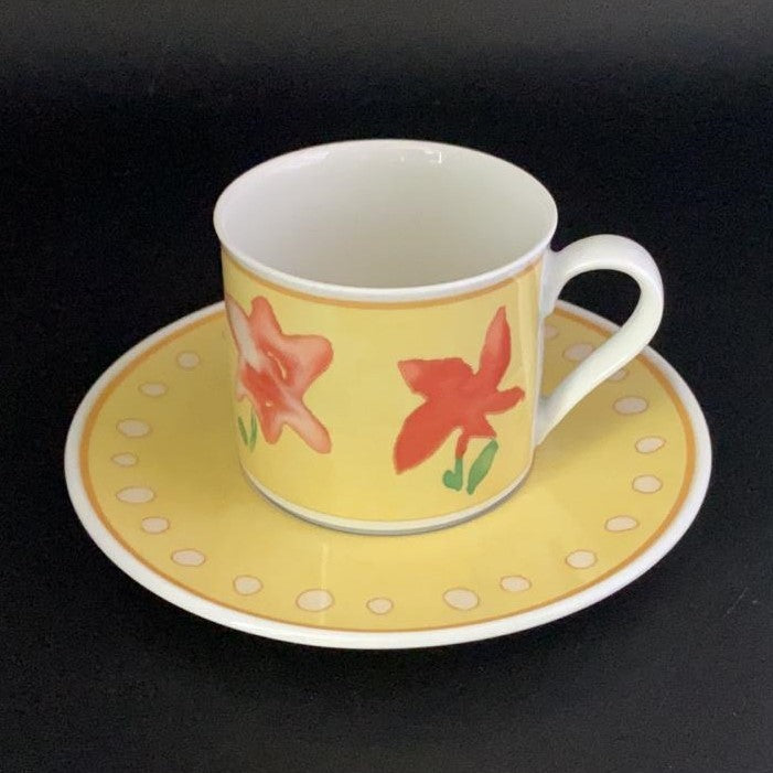 Hutschenreuther Viva Aleo: Kaffeetasse / Tasse mit Unterteller Hutschenreuther (7121096376457)