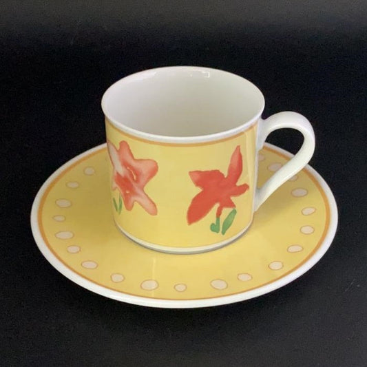 Hutschenreuther Viva Aleo: Kaffeetasse / Tasse mit Unterteller Hutschenreuther (7121096376457)