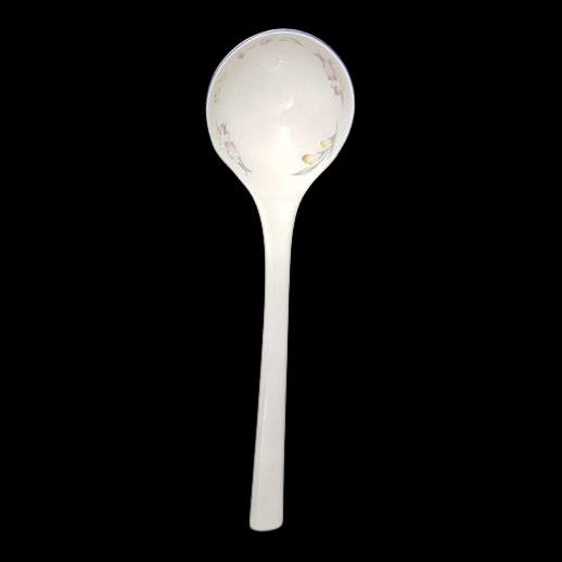 Villeroy & Boch Riviera Suppenkelle / Suppenschöpfer aus Porzellan Villeroy & Boch (7120949674121)