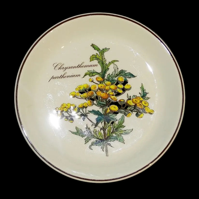 Villeroy & Boch Botanica: Teller Lila Blume Chrysanthemum 14 cm Villeroy & Boch (7120727507081)
