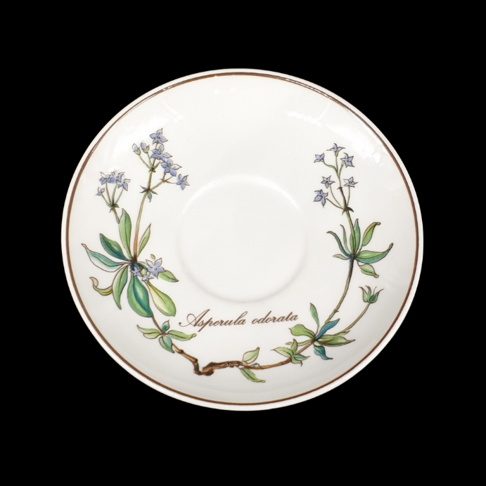 Villeroy & Boch Botanica: Unterteller / Untertasse für Mokkatasse ohne Wurzel - ca 12 cm Villeroy & Boch (7120977592457)
