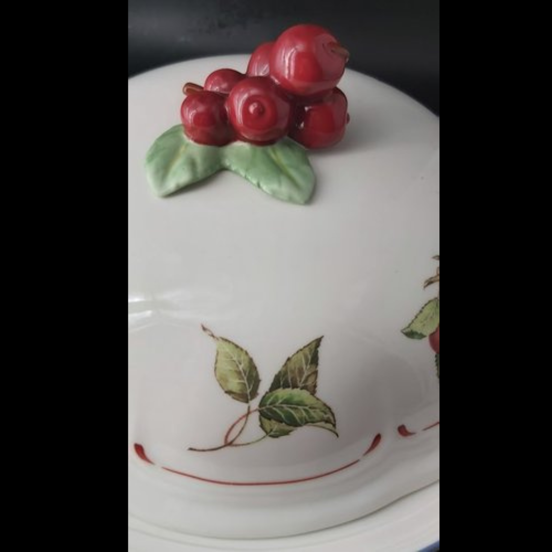 Villeroy & Boch Cottage: Gebäckdose / Gebäckschale / Schüssel mit Deckel - selten Villeroy & Boch (7120955768969)
