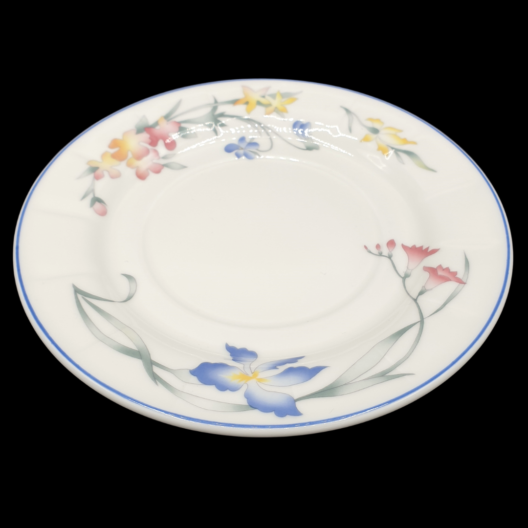 Villeroy & Boch Riviera: Teller, ofenfest / Kochgeschirr - neuwertig Villeroy & Boch (7120849633417)