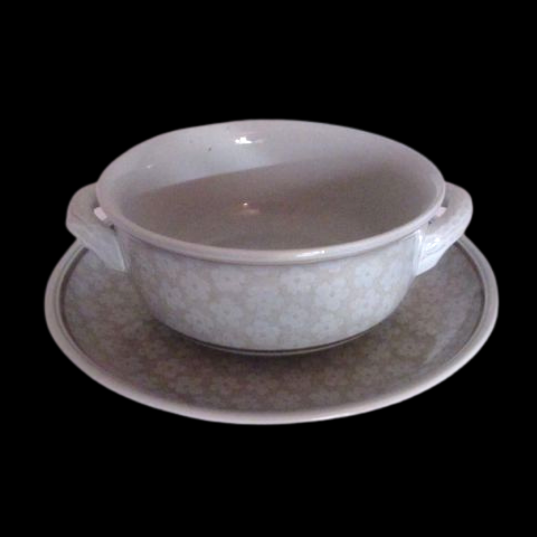 Villeroy & Boch Dalarna: Suppentasse mit Unterteller Villeroy & Boch (7120871686281)