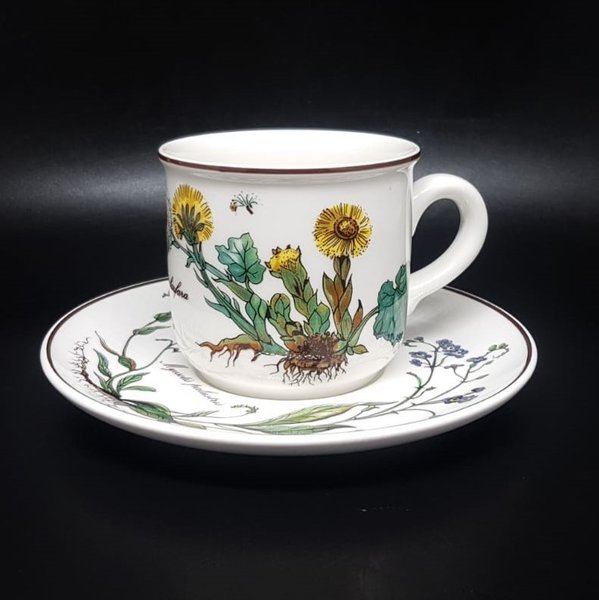 Villeroy & Boch Botanica: Kaffeetasse / Tasse mit Unterteller - neuwertig Villeroy & Boch (7120784556169)
