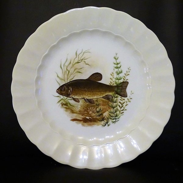 Eschenbach Fische: Speiseteller / flacher Teller – Porzellanladen Gabi Schmitt