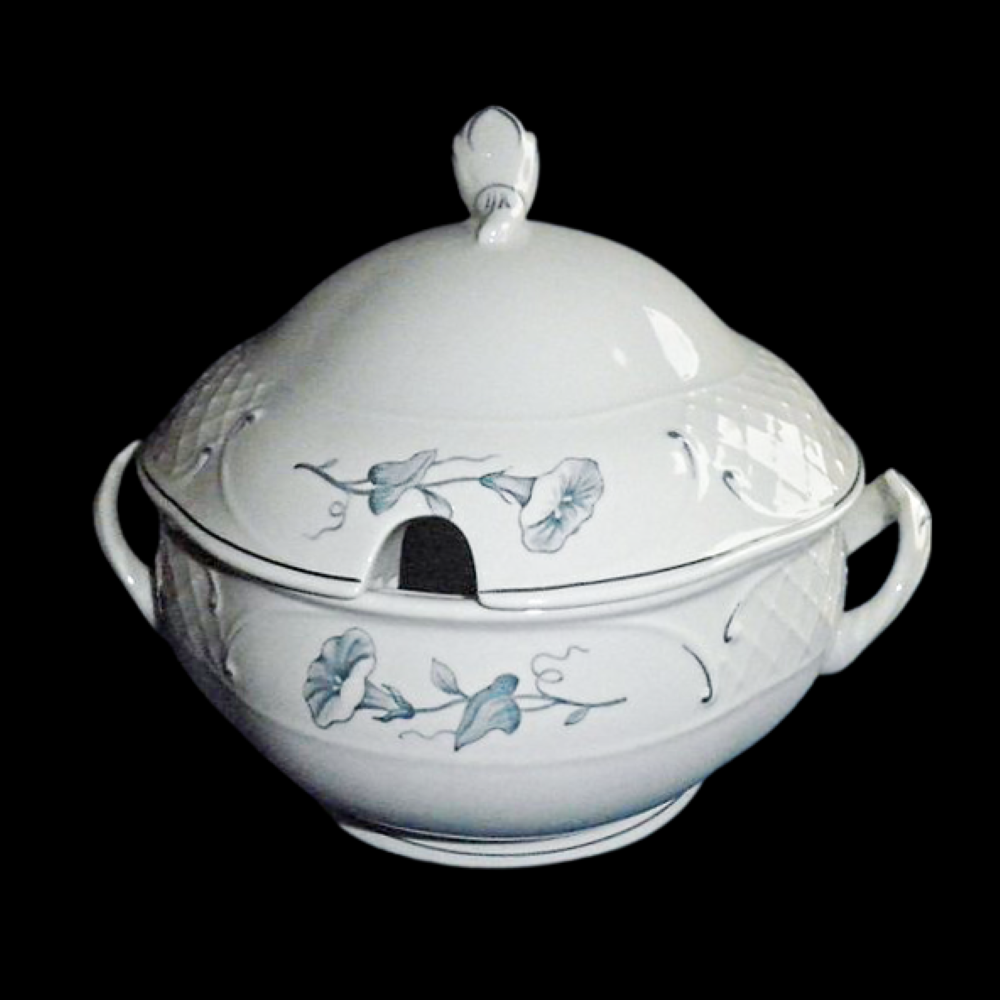 Villeroy & Boch Val bleu: Terrine / Schüssel mit Deckel Villeroy & Boch (7120698146953)