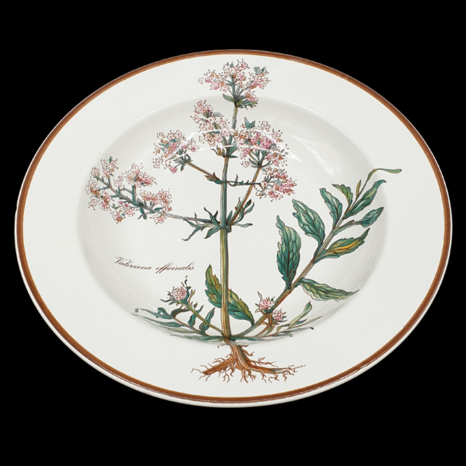 Villeroy & Boch Botanica: Suppenteller / tiefer Teller mit Wurzel - breiter Rand - Beschreibung Villeroy & Boch (7120839540873)