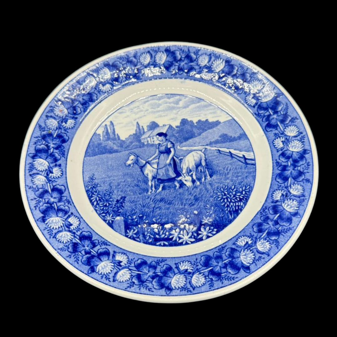Villeroy & Boch Dresden 6326: Brotteller / kleiner Teller - 16,5 cm