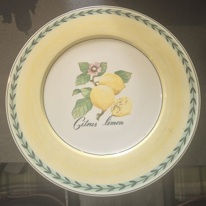 Villeroy & Boch French Garden: Platzteller / Pizzateller / großer Teller Fleurence - neu