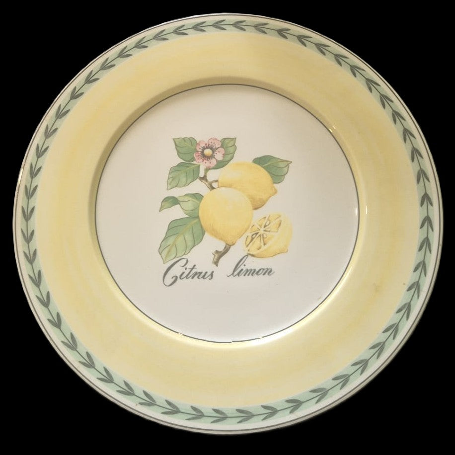 Villeroy & Boch French Garden: Platzteller / Pizzateller / großer Teller Fleurence - neu