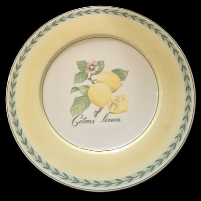 Villeroy & Boch French Garden: Platzteller / Pizzateller / großer Teller Fleurence - neu