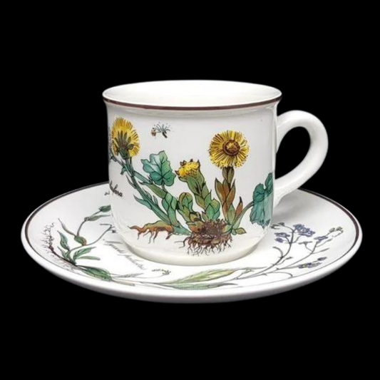 Villeroy & Boch Botanica: Kaffeetasse / Tasse mit Unterteller - neuwertig (7120784556169)