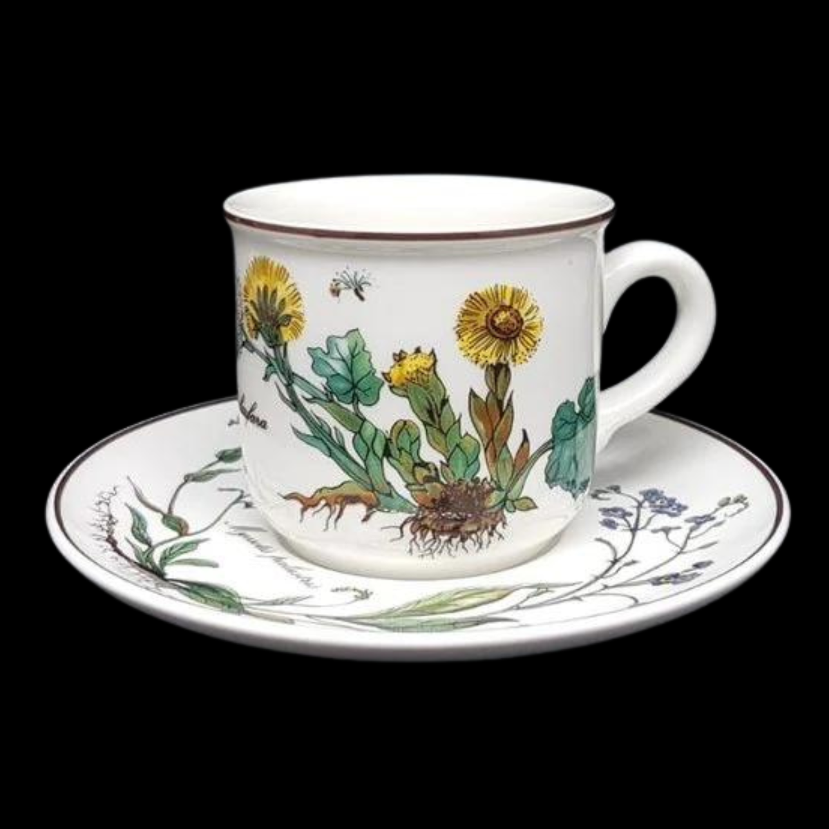 Villeroy & Boch Botanica: Kaffeetasse / Tasse mit Unterteller - gebraucht (7120784785545)