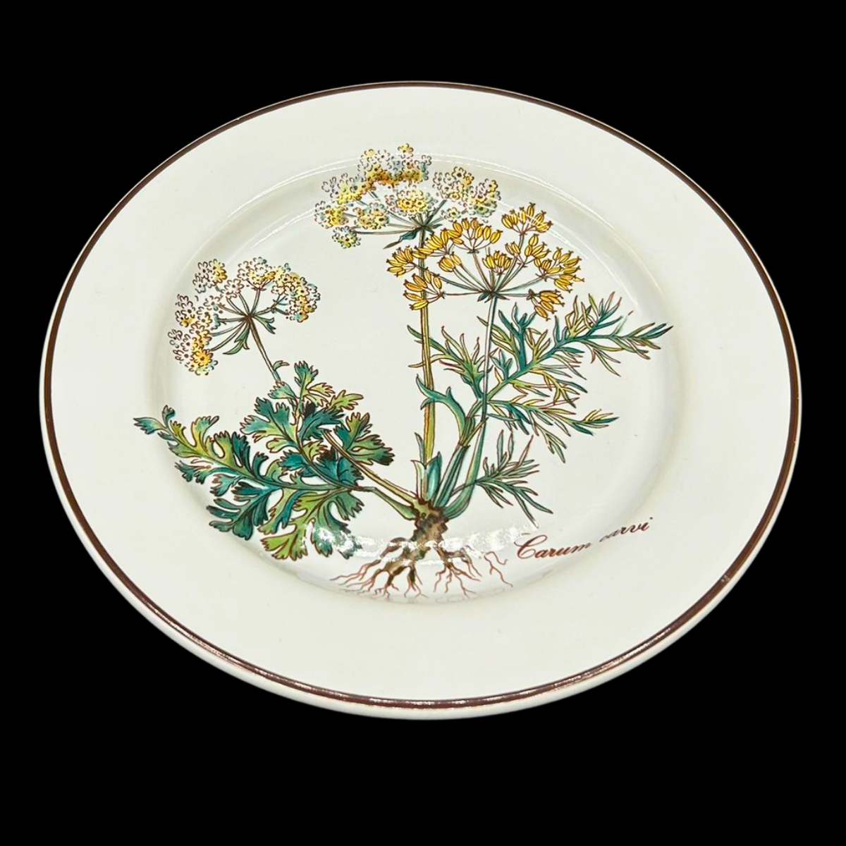 Villeroy & Boch Botanica: Brotteller / kleiner Teller mit Wurzel (7121062166665)