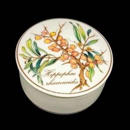 Villeroy & Boch Botanica: Deckeldose 8 cm Hippophae (7120827187337)