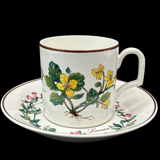 Villeroy & Boch Botanica: Kaffeetasse / Tasse mit Unterteller (flach) (9486615118148)