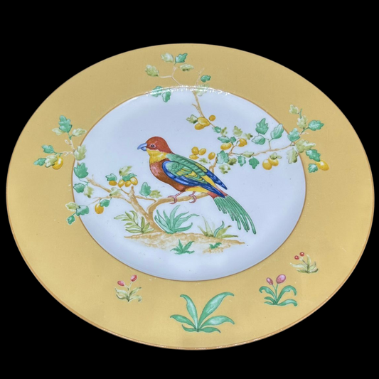 Villeroy & Boch Paradise Bird: Speiseteller / flacher Teller (9498090897732)