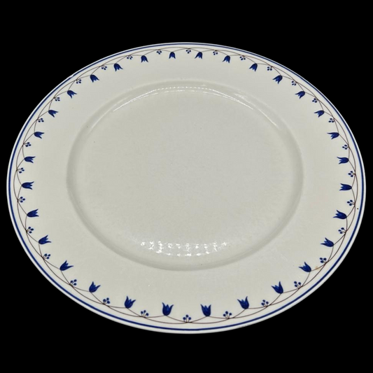 Villeroy & Boch Salzburg: Speiseteller / flacher Teller (14841710510404)