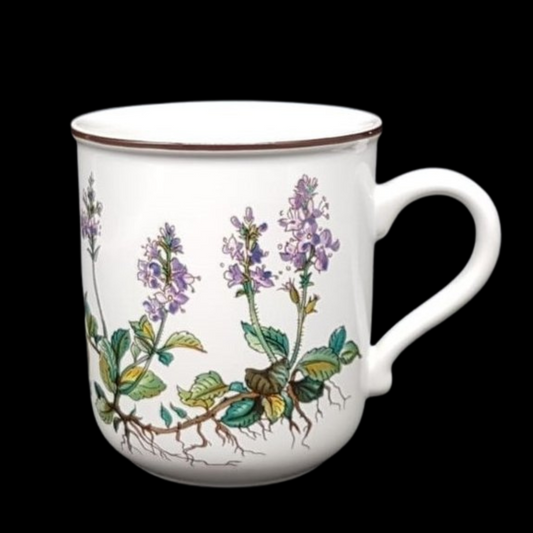 Villeroy & Boch Botanica: Henkelbecher / Kaffeebecher - neuwertig (7120903143561)
